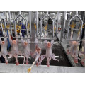 Compact Poultry Processing Line